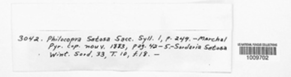 Triangularia setosa image